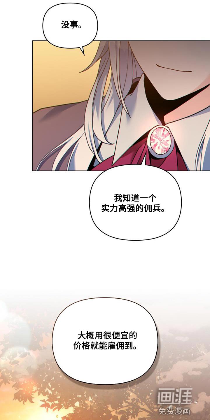 第42章：实力高强的佣兵