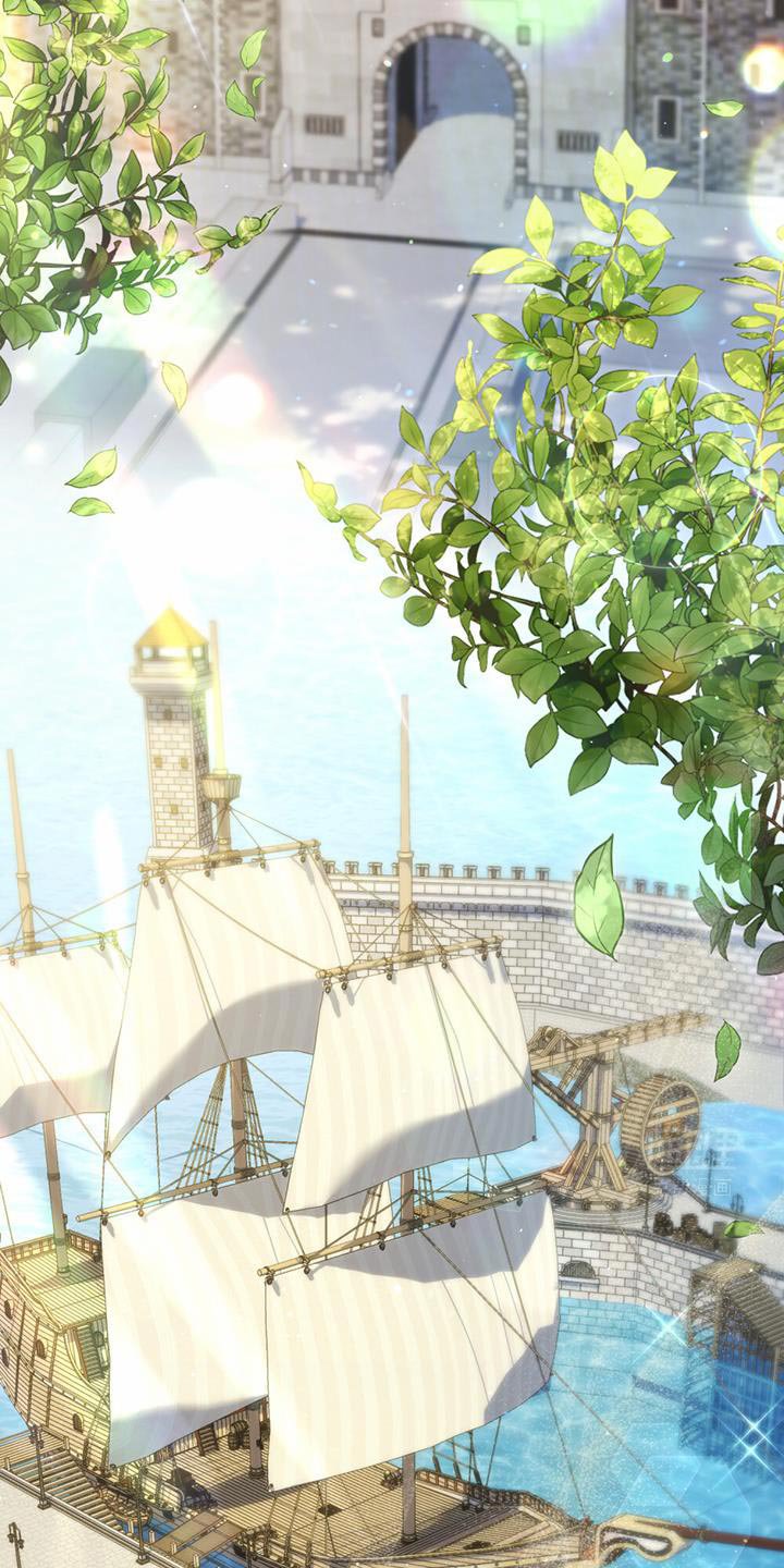 第64章：最大的市场