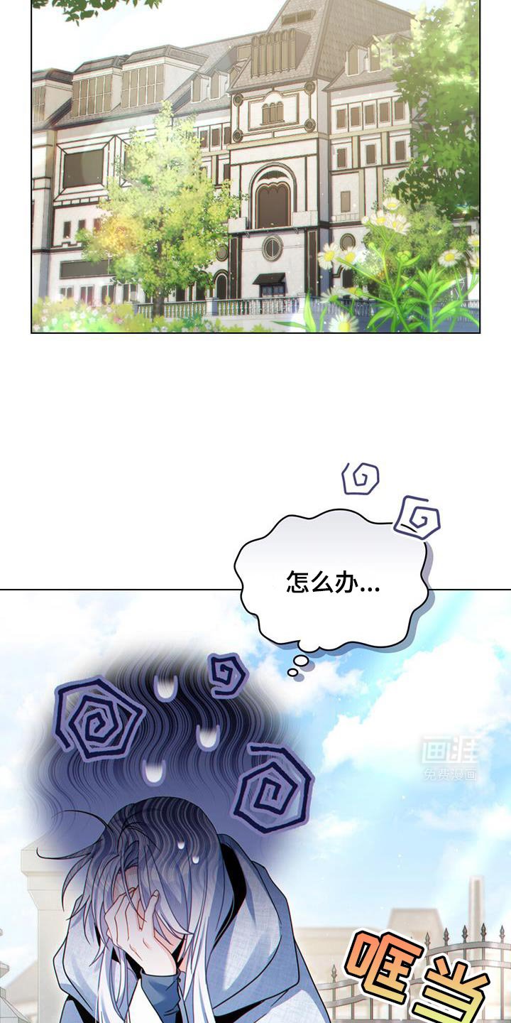 第64章：最大的市场