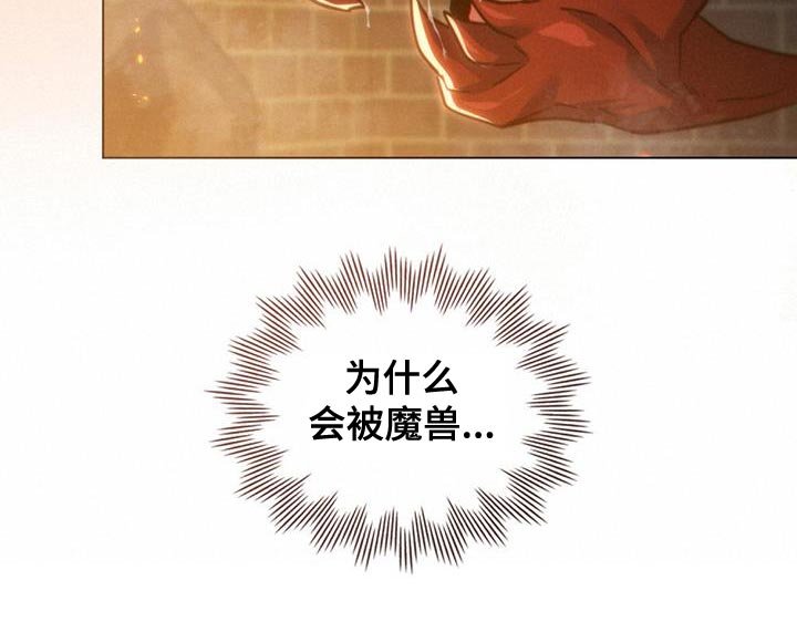 第68章：奇怪的实验