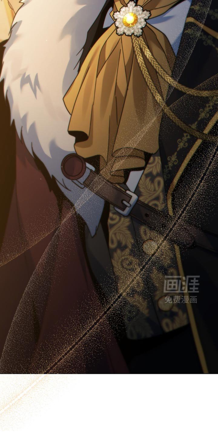 第77章：寻找伴侣
