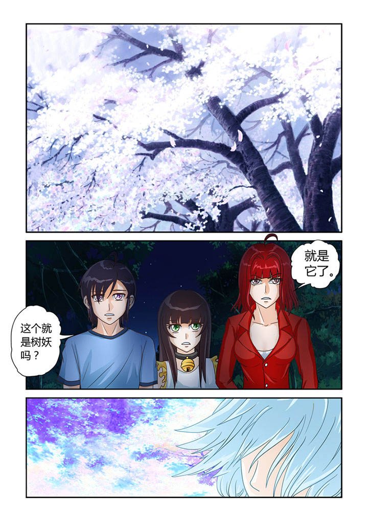 第11章：树妖
