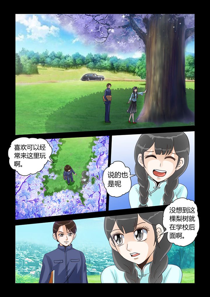 第13章：记忆（上）