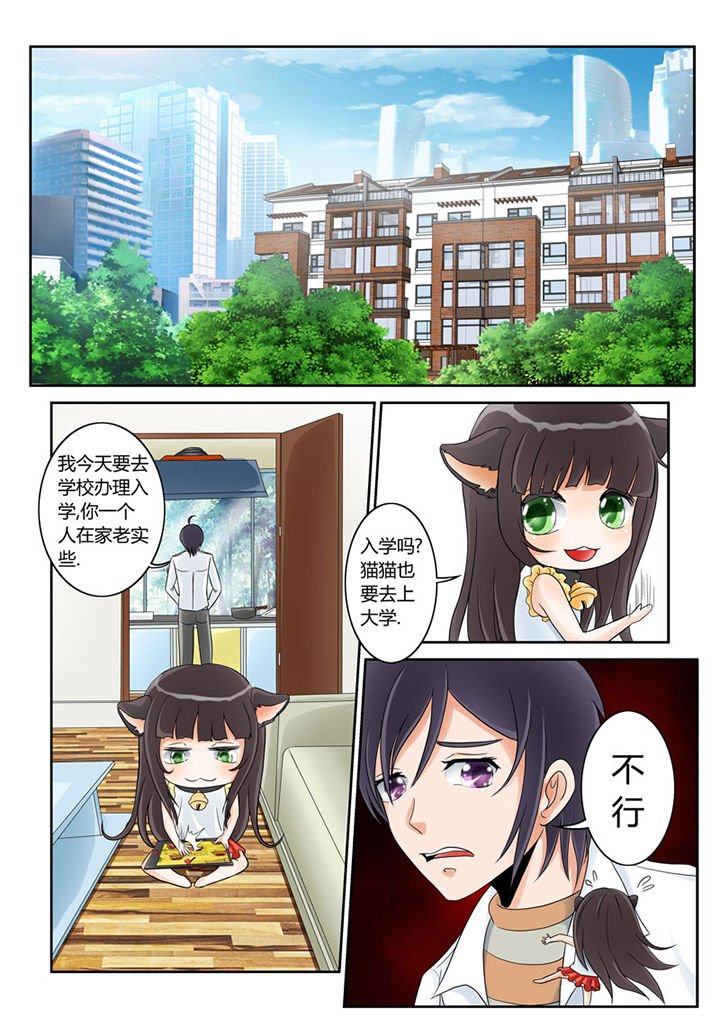 第2章：猫猫去学校