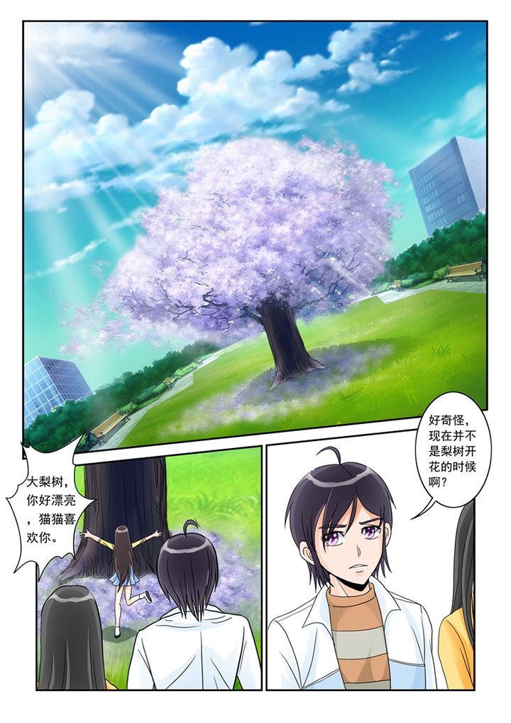 第2章：猫猫去学校