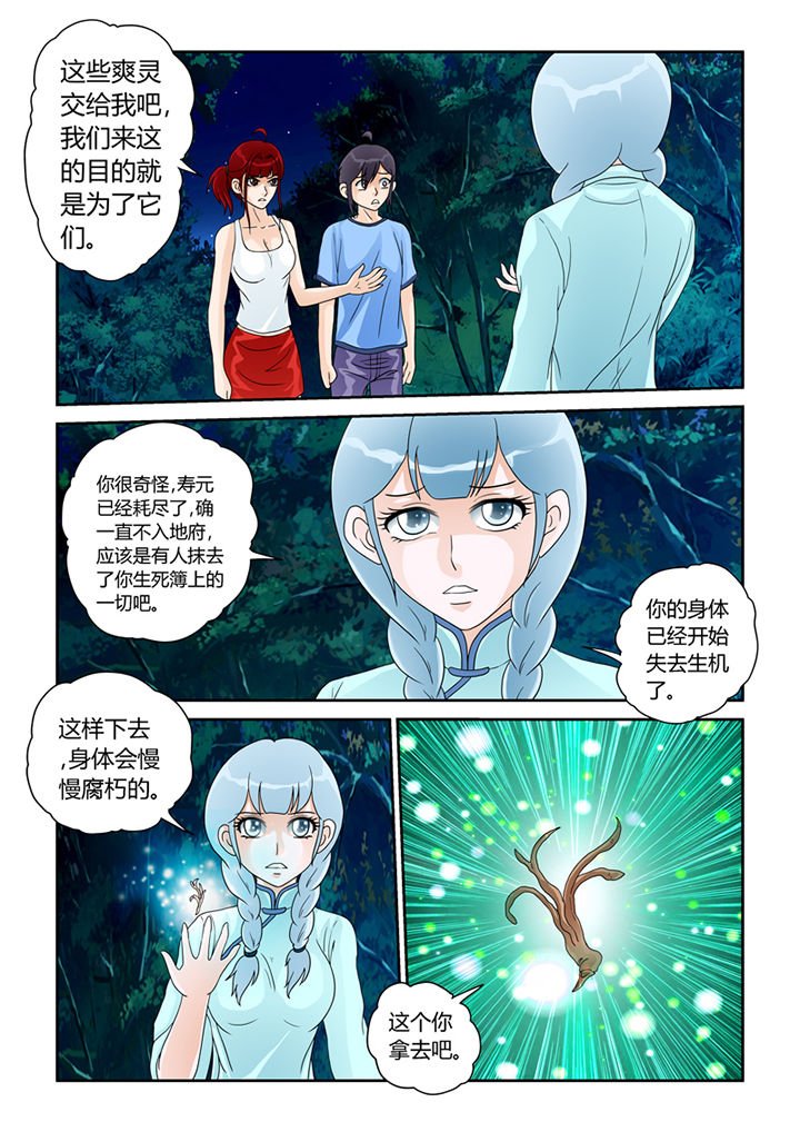 第21章：树妖的馈赠