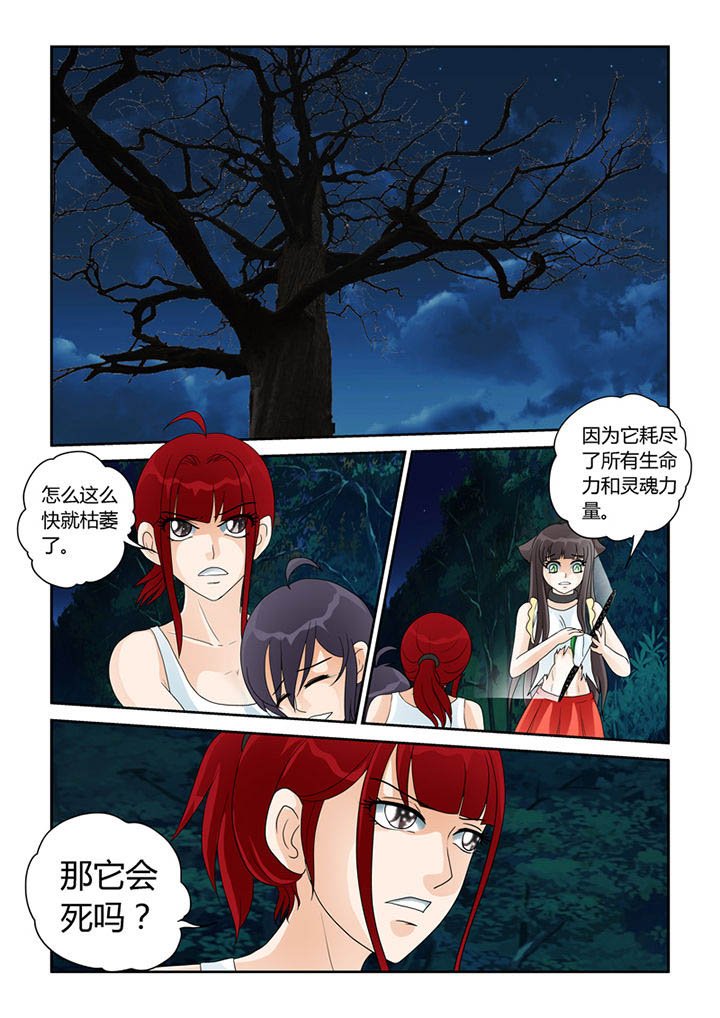 第21章：树妖的馈赠