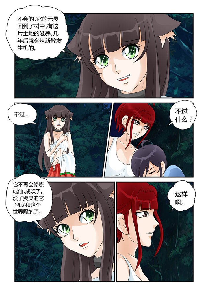 第21章：树妖的馈赠