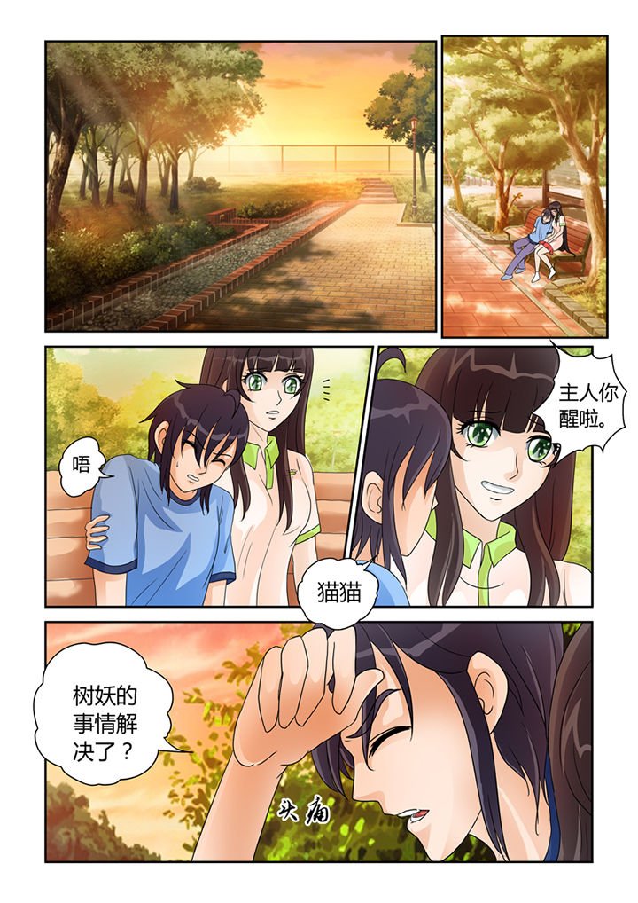 第21章：树妖的馈赠