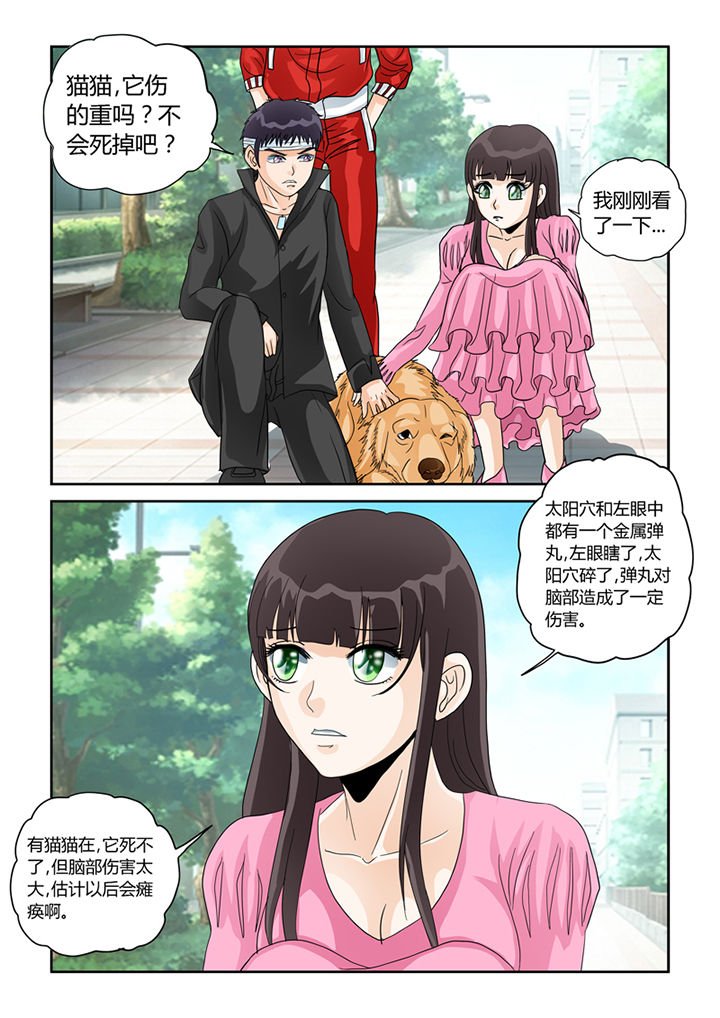 第29章：怜悯