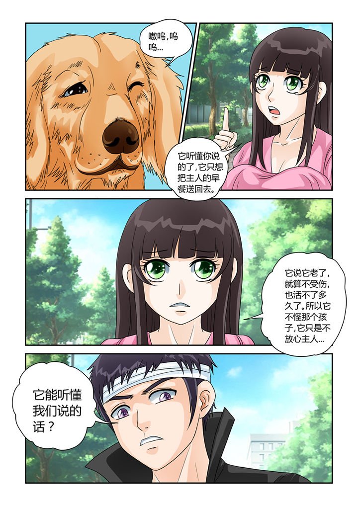 第29章：怜悯