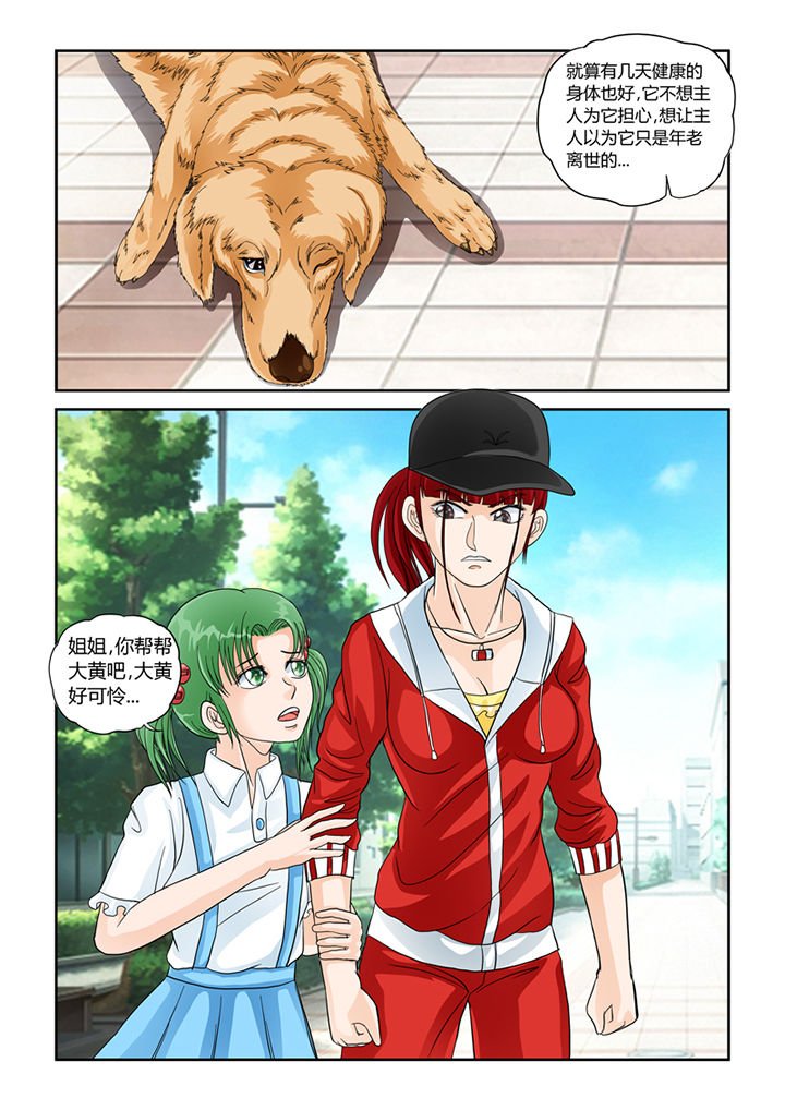 第29章：怜悯