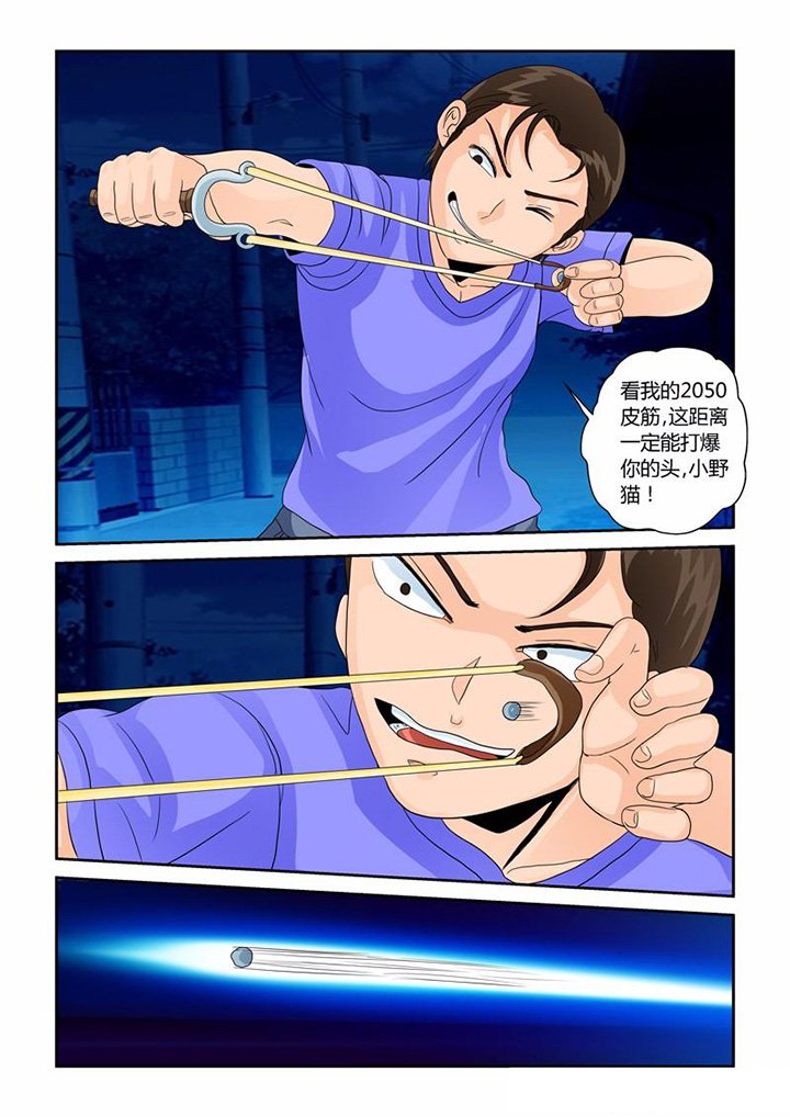 第31章：业报