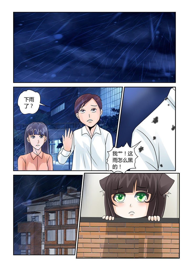 第35章：血雨