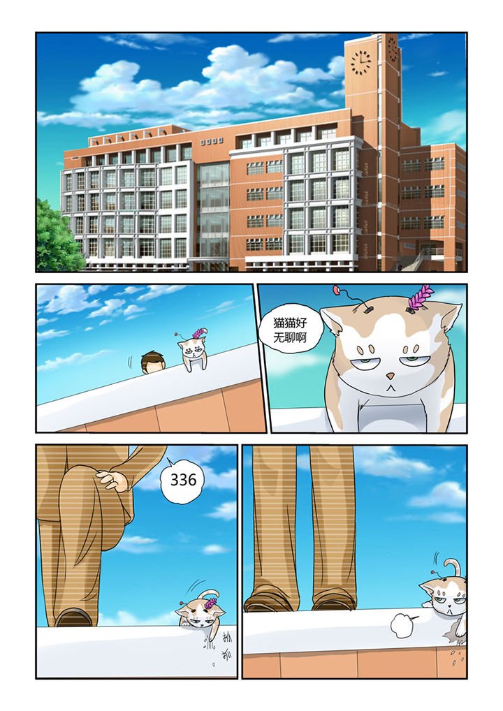 第4章：猫猫丢了吗