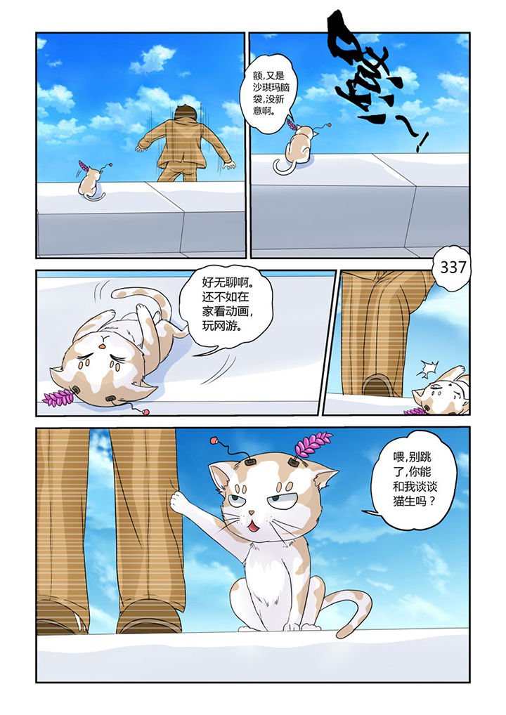 第4章：猫猫丢了吗