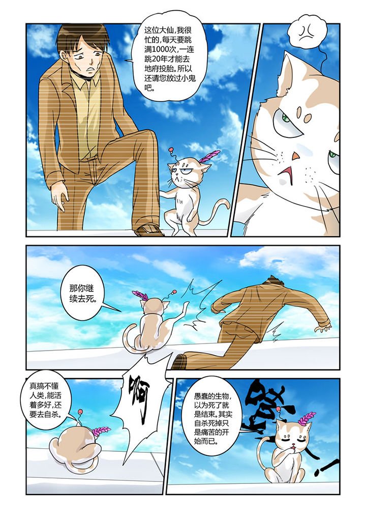 第4章：猫猫丢了吗