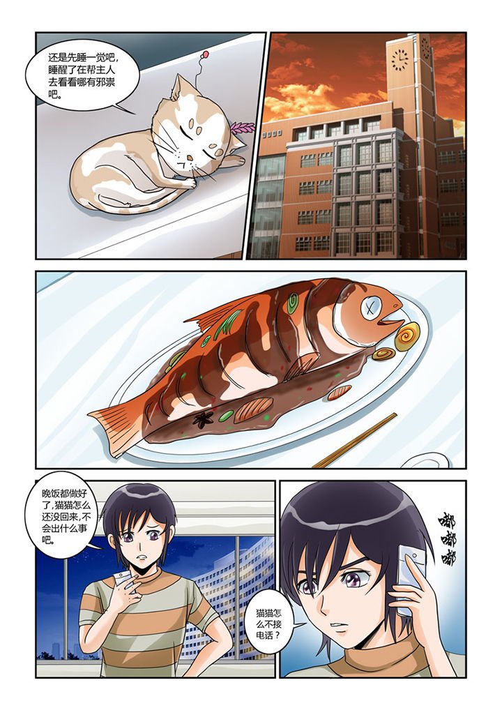 第4章：猫猫丢了吗