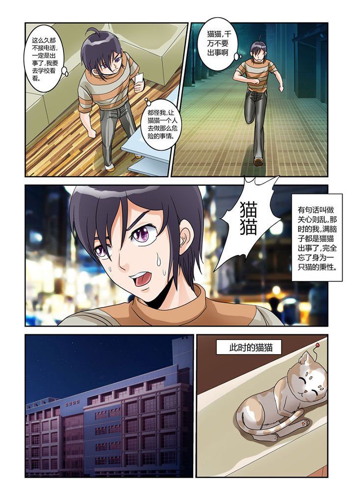 第4章：猫猫丢了吗