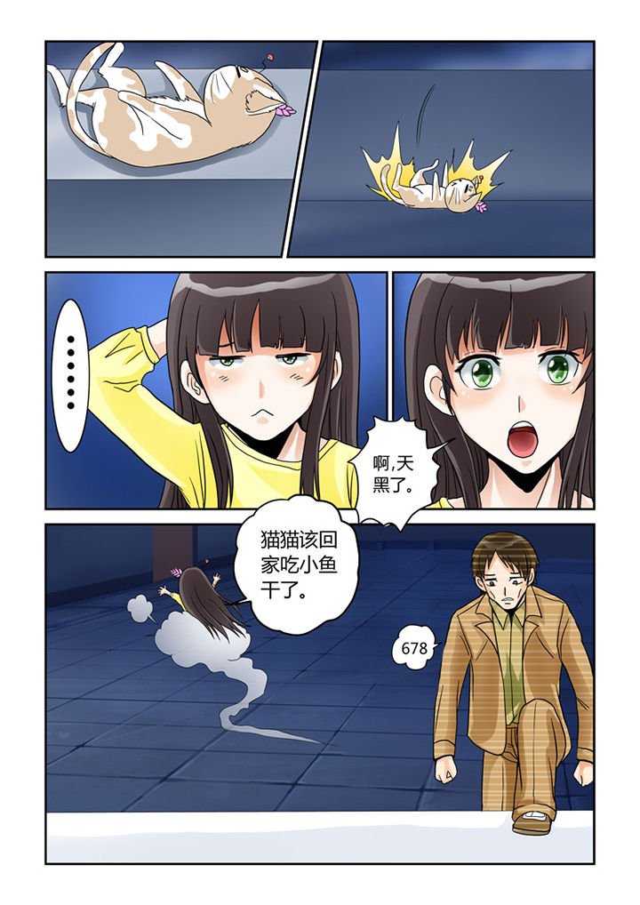第4章：猫猫丢了吗