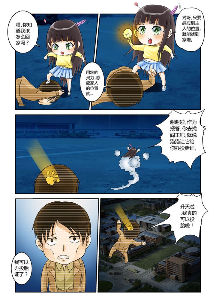第4章：猫猫丢了吗