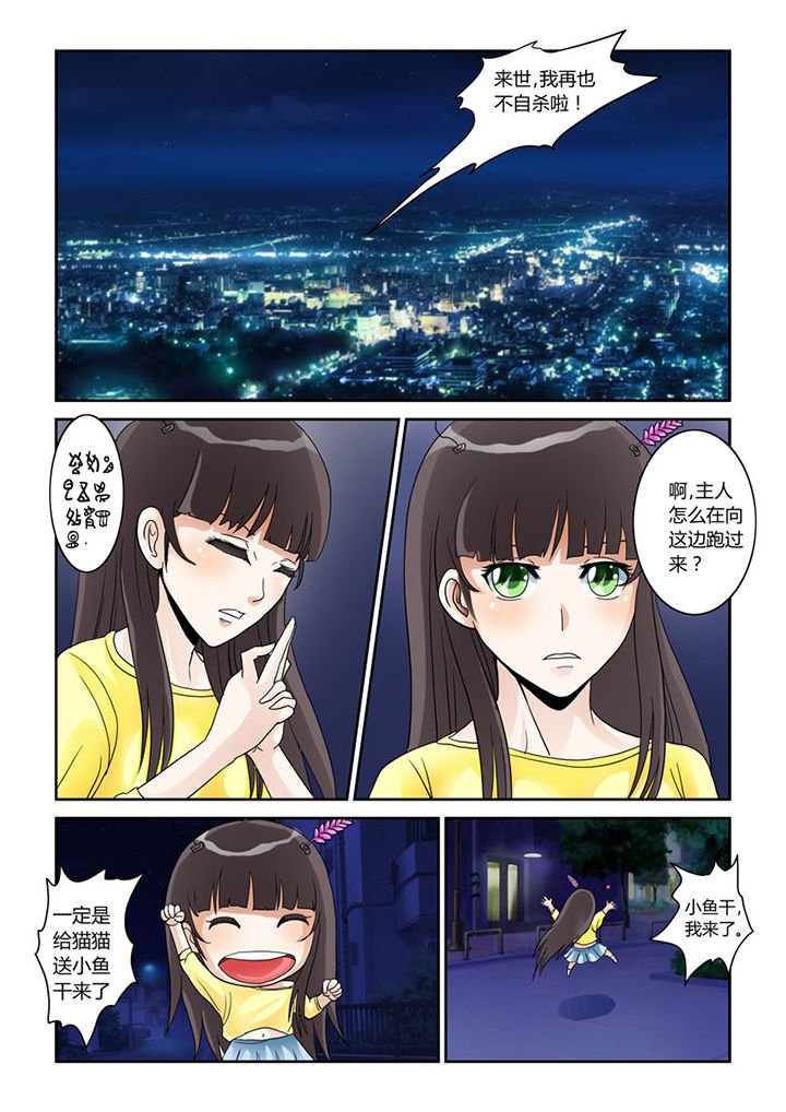 第4章：猫猫丢了吗