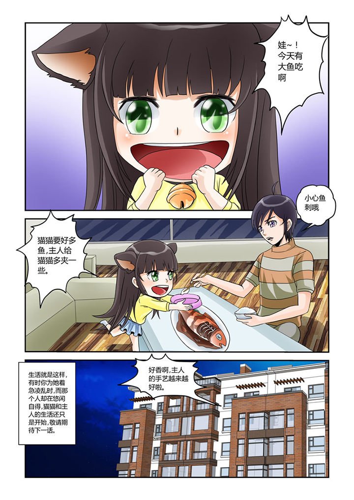第4章：猫猫丢了吗