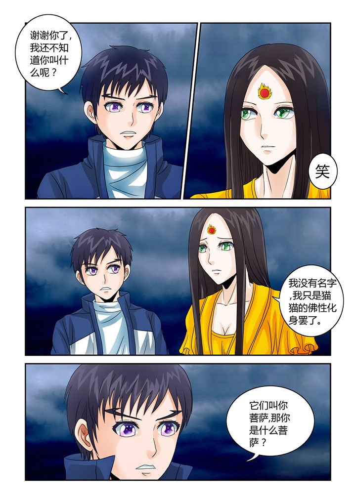 第40章：菩萨