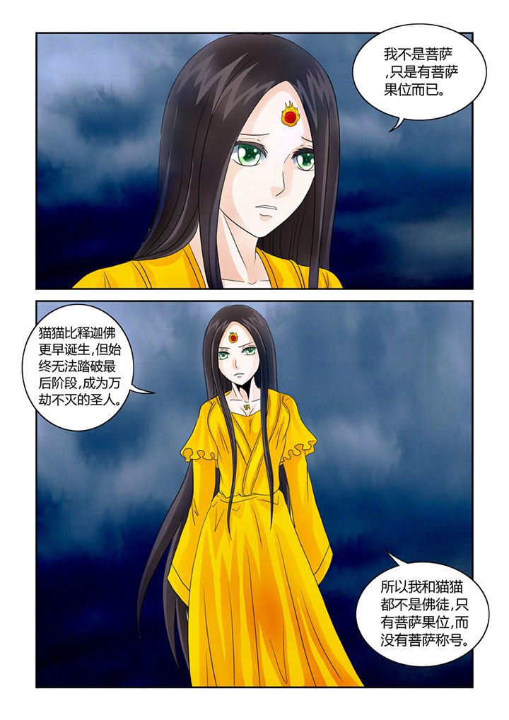 第40章：菩萨