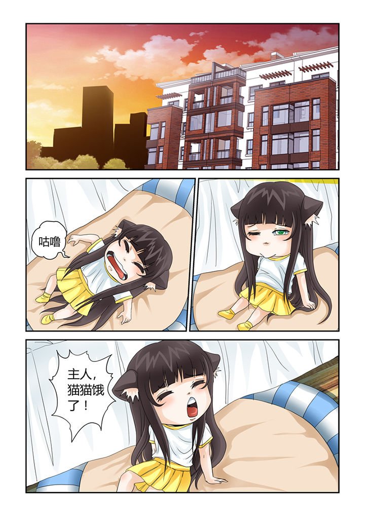第41章：猫猫的一天