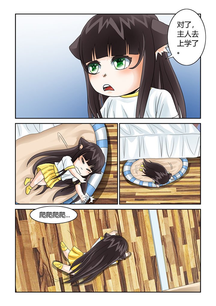 第41章：猫猫的一天