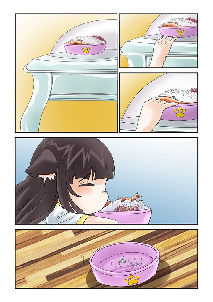 第41章：猫猫的一天
