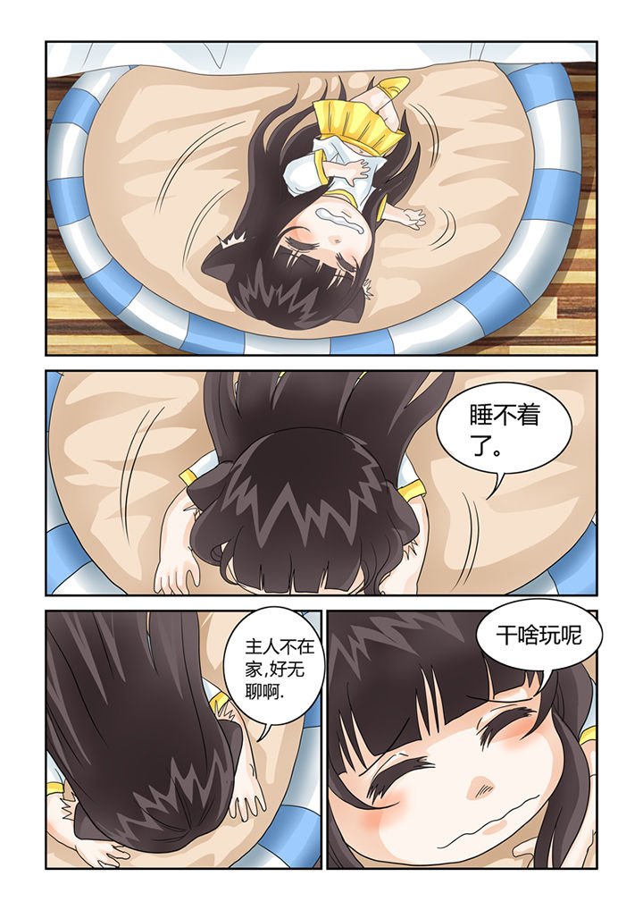 第41章：猫猫的一天