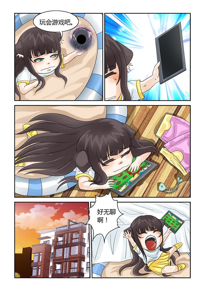 第41章：猫猫的一天