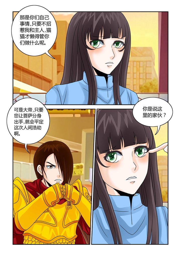 第41章：猫猫的一天
