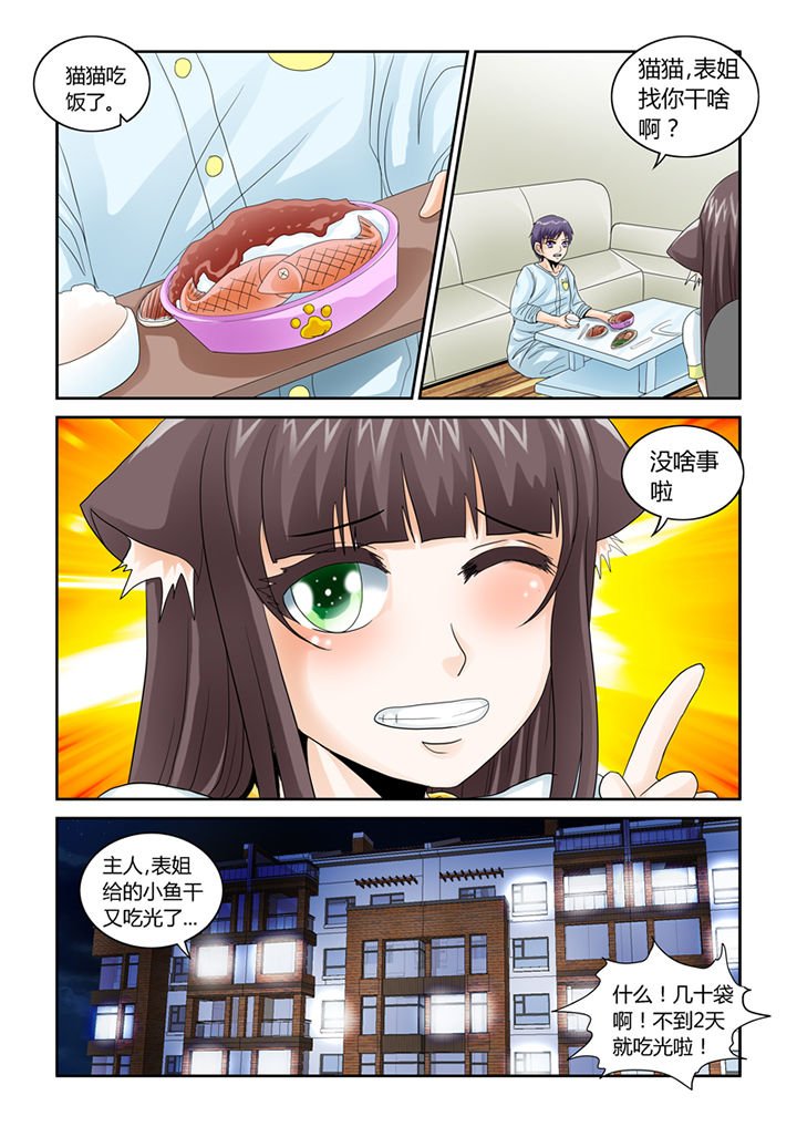 第46章：魔猫