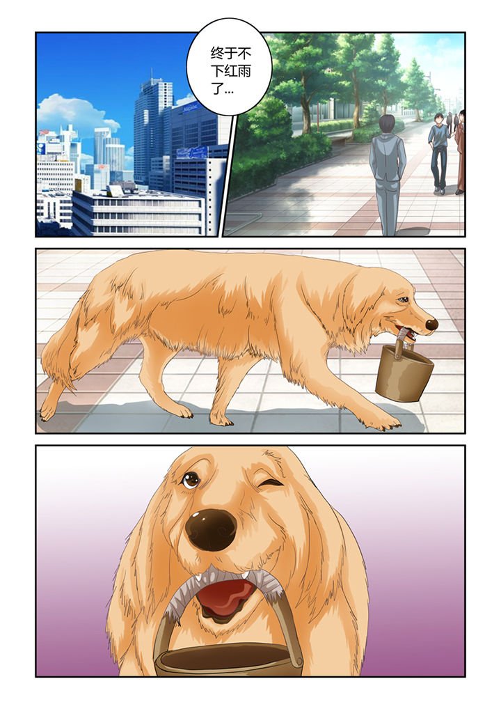 第46章：魔猫