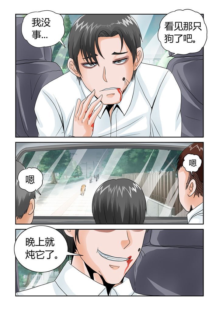第46章：魔猫