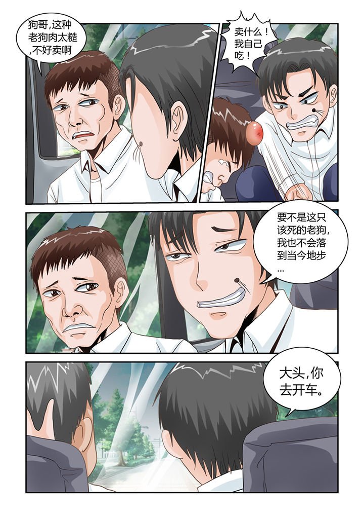 第46章：魔猫