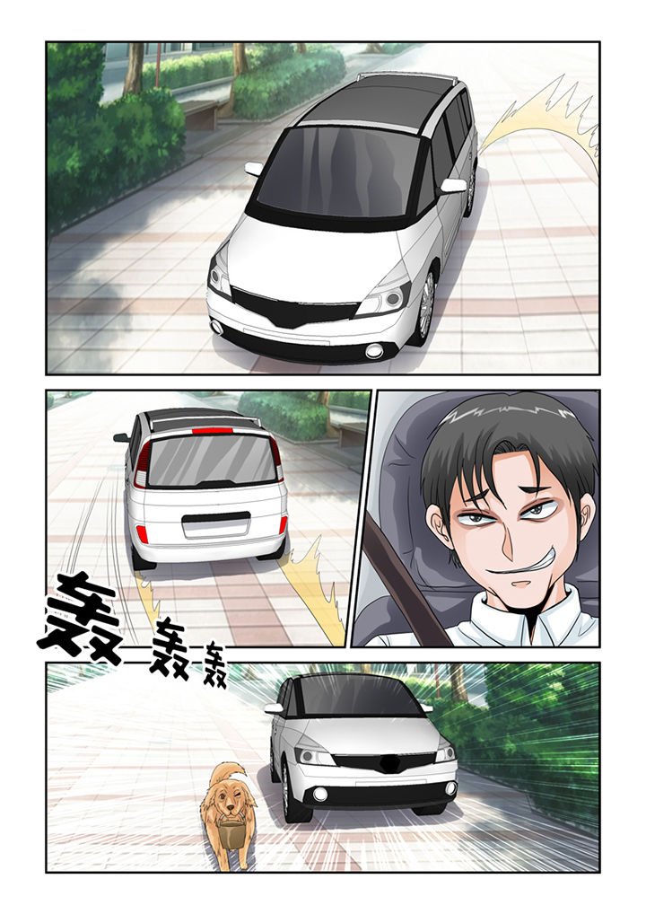 第46章：魔猫