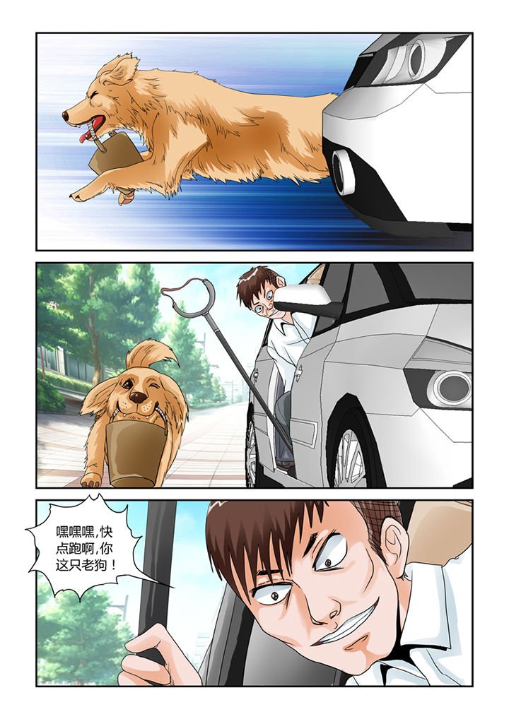 第46章：魔猫