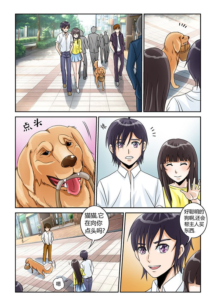 第5章：买买买