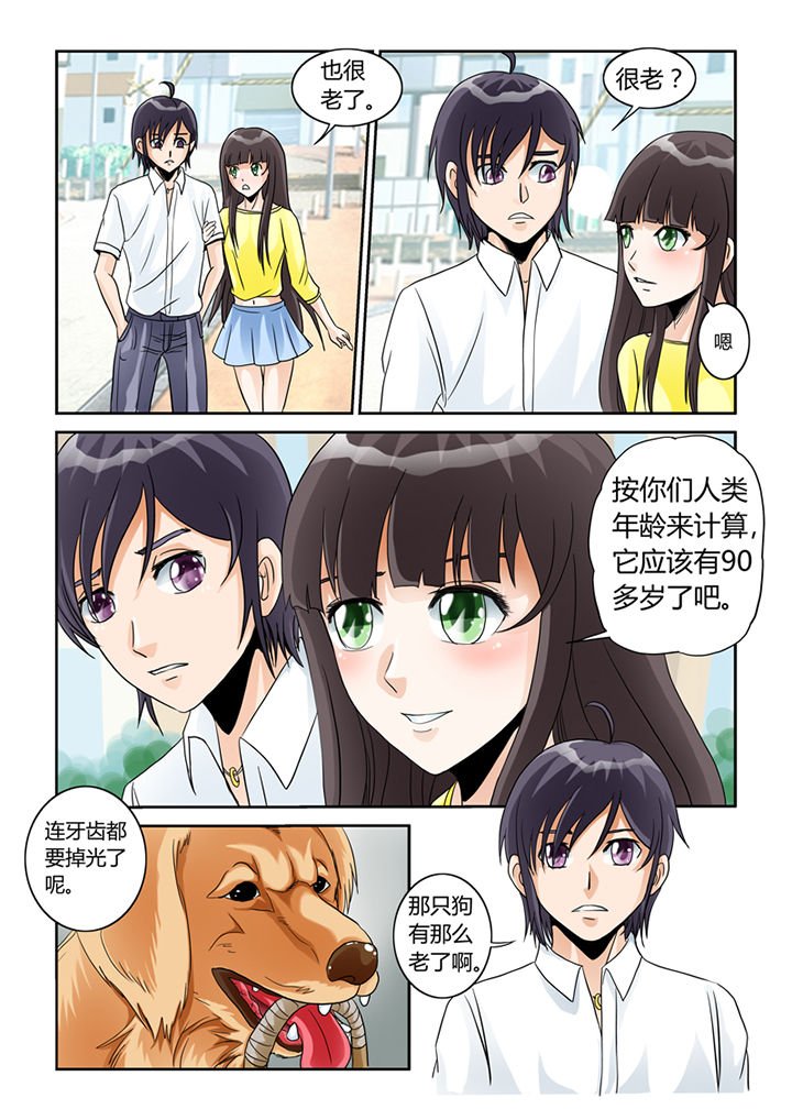 第5章：买买买