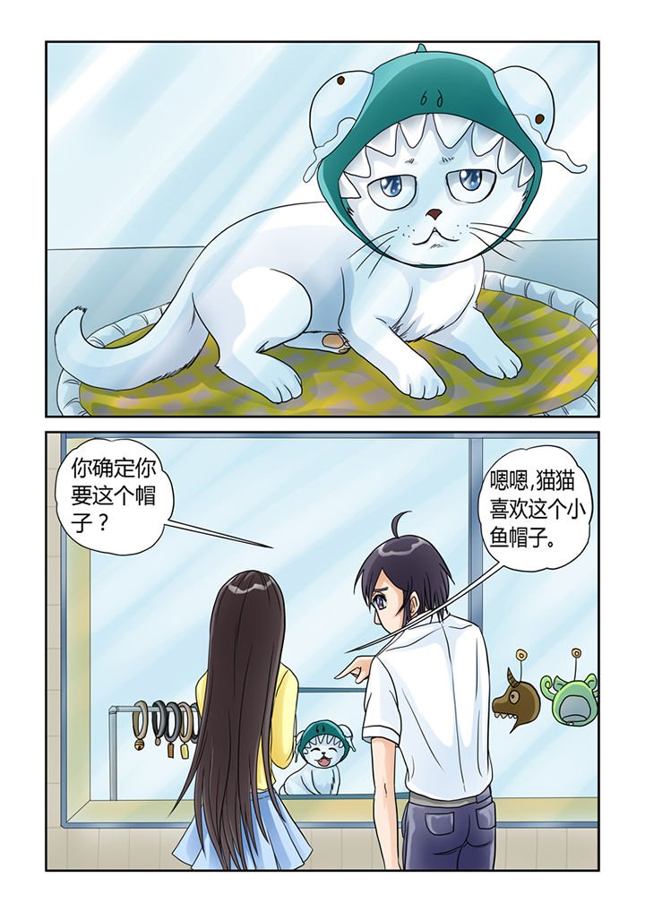 第5章：买买买