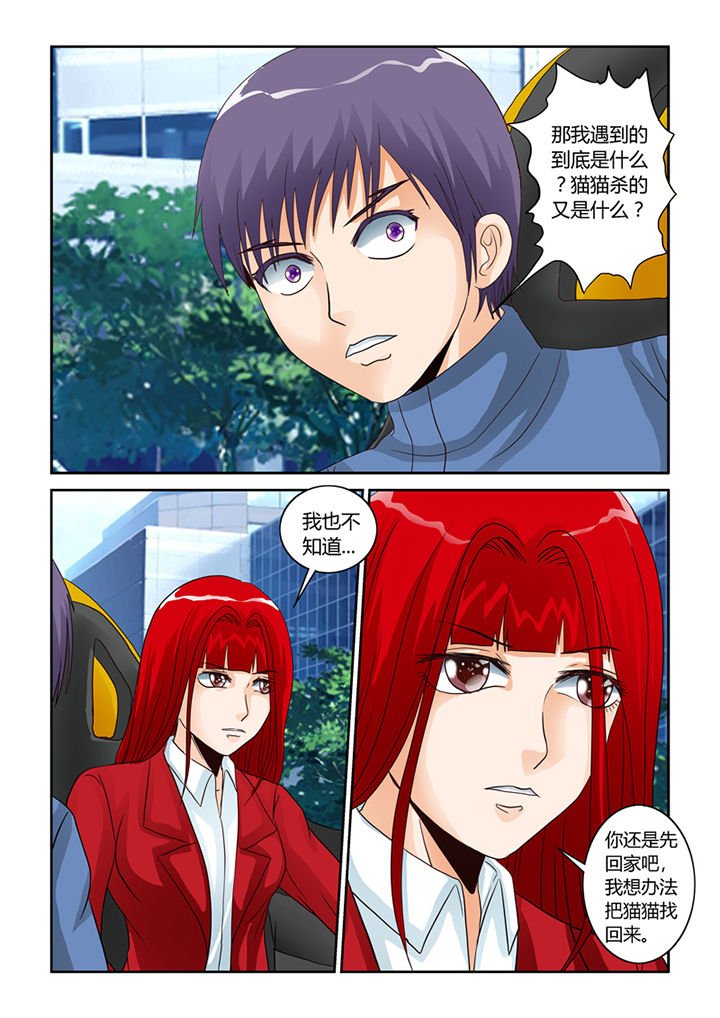第54章：流浪猫