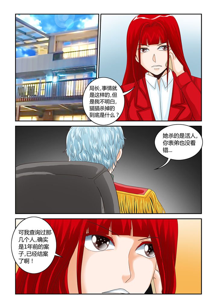第54章：流浪猫