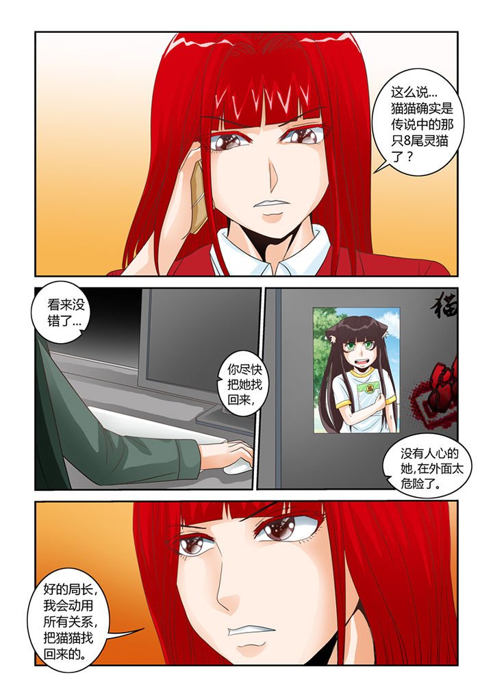 第54章：流浪猫