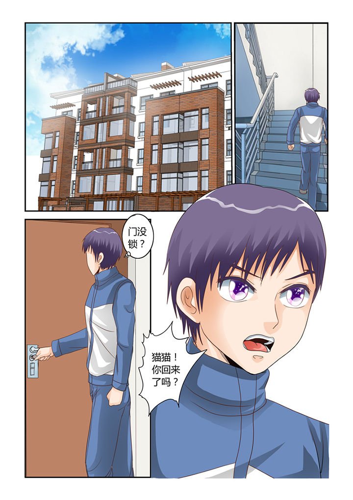 第54章：流浪猫