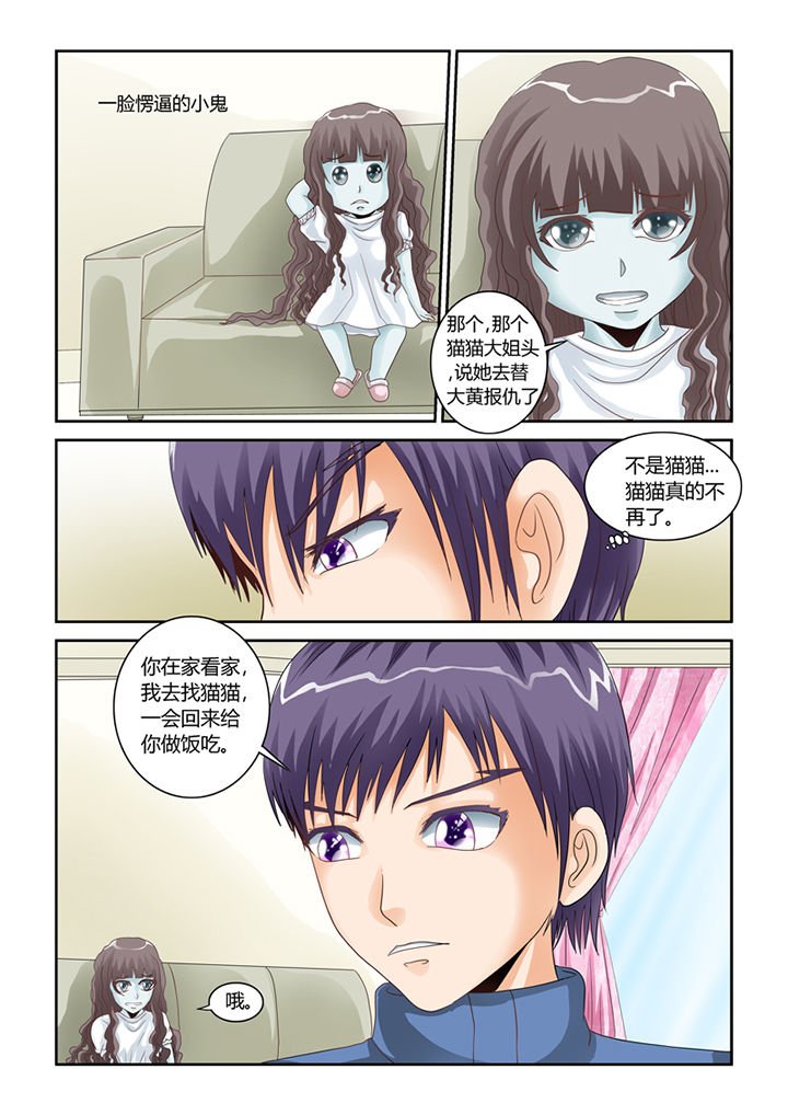 第54章：流浪猫