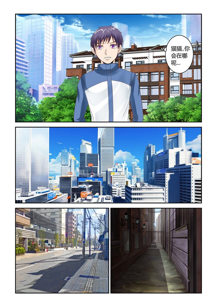 第54章：流浪猫